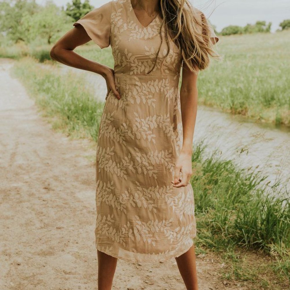 Roolee, One and Only embroidered lace dress, size XS.